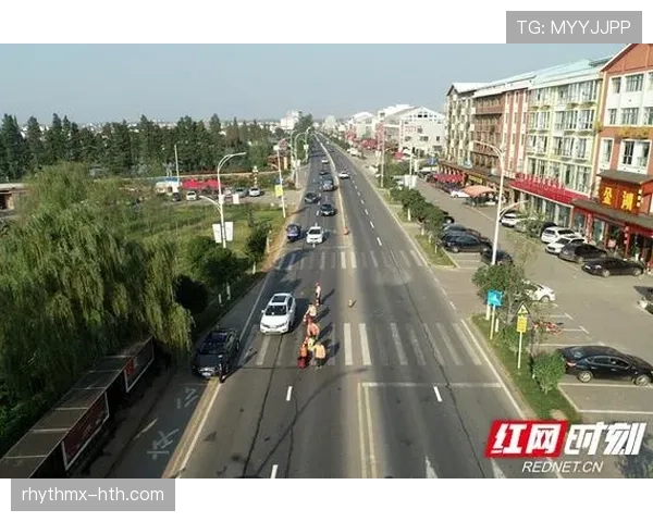 格罗宁根中路渗透现象引关注，专家解析交通影响成效显著